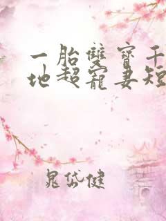 一胎双宝千亿爹地超宠妻短剧在线