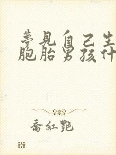 梦见自己生了双胞胎男孩什么预兆