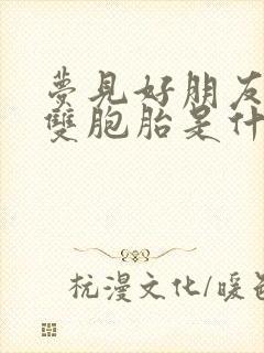 梦见好朋友生了双胞胎是什么意思