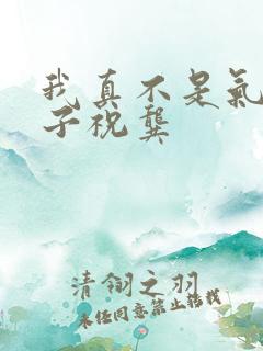 我真不是气运之子祝龚