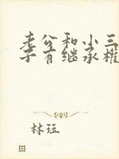 老公和小三的孩子有继承权吗