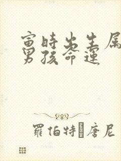 寅时出生属狗的男孩命运