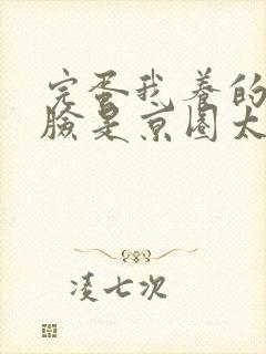 完蛋我养的小白脸是京圈太子爷结局