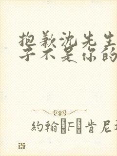 抱歉沈先生,孩子不是你的全集免费