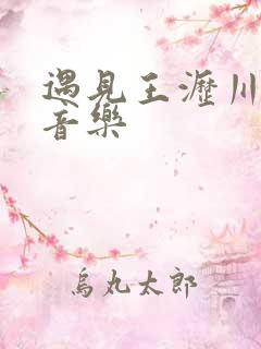 遇见王沥川背景音乐