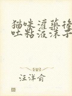 猫咪灌药后一直吐粘液沫子怎么办