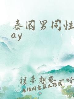 泰国男同性恋gay