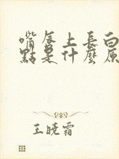 嘴唇上长白色斑点是什么原因导致的