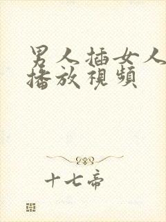 男人插女人在线播放视频