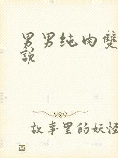 男男纯肉双性小说