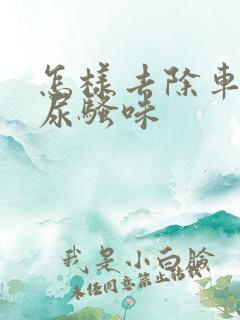 怎样去除车上的尿骚味