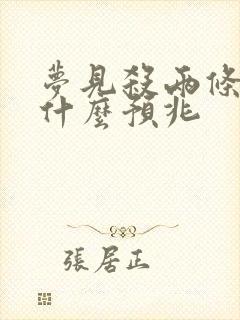 梦见杀两条蛇是什么预兆