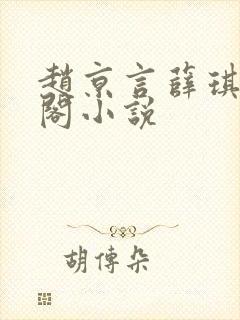 赵京言薛琪笔趣阁小说