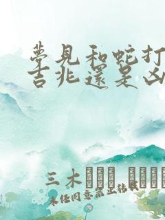 梦见和蛇打架是吉兆还是凶兆