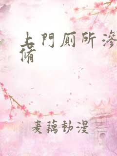 上门厕所渗水维修