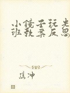 小镜子玩光影大班教案反思