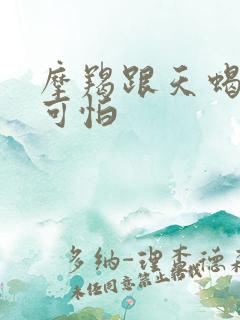 摩羯跟天蝎谁更可怕