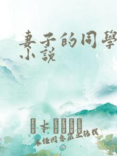 妻子的同学聚会小说