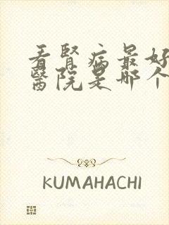 看肾病最好的中医院是哪个医院好