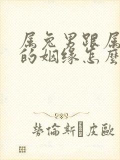 属兔男跟属龙女的姻缘怎么样