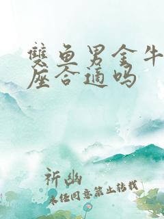 双鱼男金牛女星座合适吗