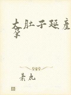 大肚子延产孕中孕