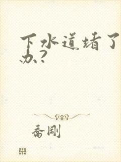 下水道堵了怎么办?