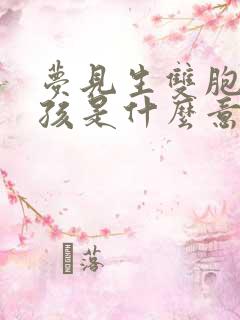 梦见生双胞胎男孩是什么意思