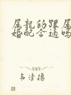 属龙的跟属猴的婚配合适吗