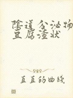 阴道分泌物白色豆腐渣状