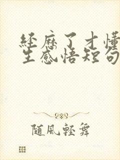 经历了才懂得人生感悟短句