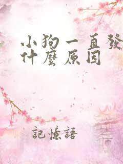 小狗一直发抖是什么原因