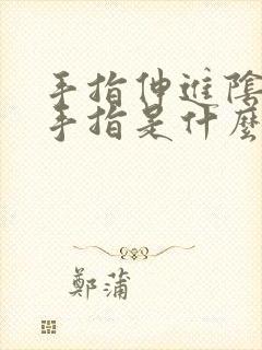 手指伸进阴道,手指是什么感觉