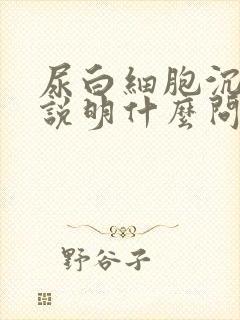 尿白细胞沉渣高说明什么问题女性