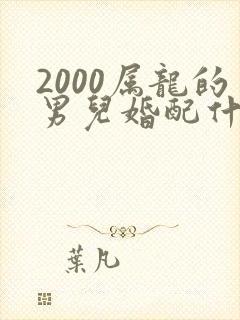 2000属龙的男儿婚配什么属相最佳