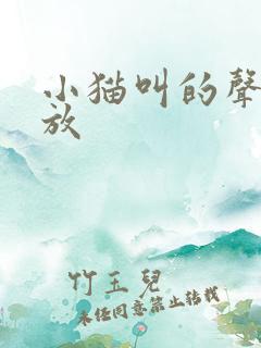 小猫叫的声音播放