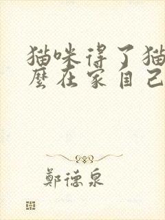 猫咪得了猫瘟怎么在家自己治疗