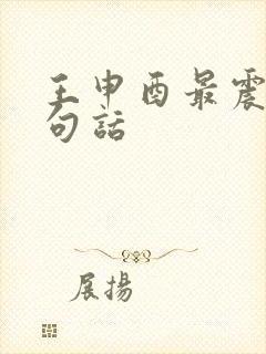 王申酉最震撼十句话