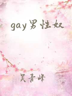 gay男性奴