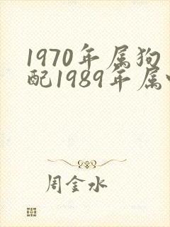 1970年属狗配1989年属蛇好不好