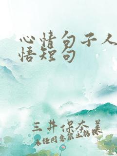 心情句子人生感悟短句