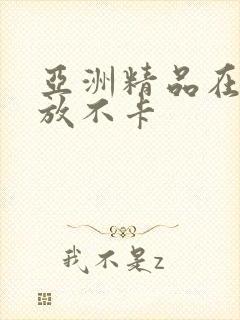 亚洲精品在线播放不卡