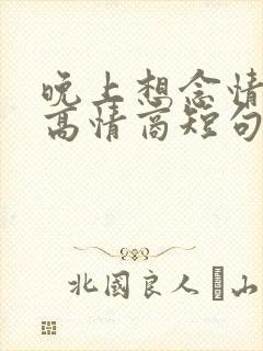 晚上想念情人的高情商短句