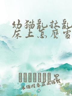 幼猫乱拉乱尿在床上怎么处理