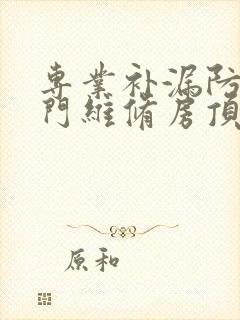 专业补漏防水上门维修房顶