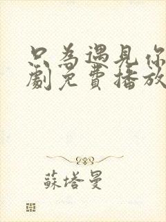 只为遇见你电视剧免费播放