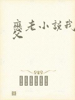 恋老小说我的岳父