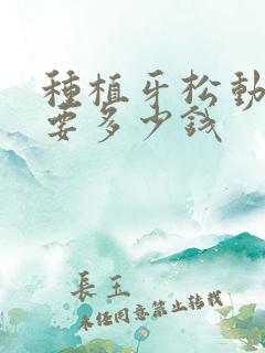 种植牙松动修复要多少钱