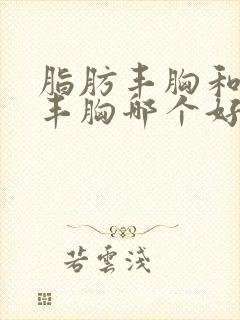 脂肪丰胸和假体丰胸哪个好