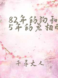 82年的狗和75年的兔相配婚姻如何